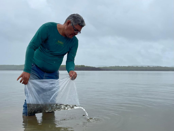 Governo Municipal realiza peixamento de açudes comunitários de Ibicuitinga